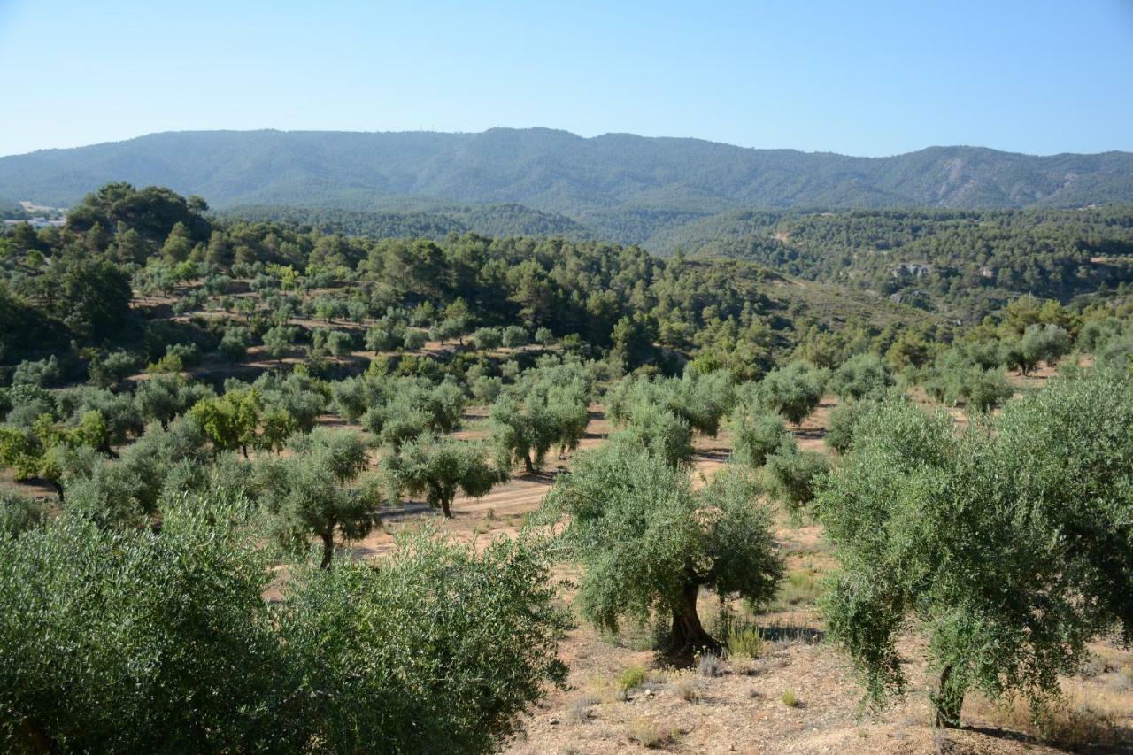 Cal Triquell Βίλα El Vilosell Εξωτερικό φωτογραφία